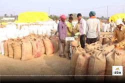 CG Paddy Purchase: 3217 रुपए प्रति क्विंटल धान खरीदी की उठी मांग, केंद्र के इस
फैसले से किसानों में जगी उम्मीद - image