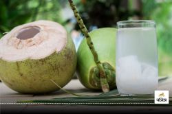 किन लोगों को नहीं पीना चाहिए Coconut Water, जानिए इसे पीने के नुकसान - image