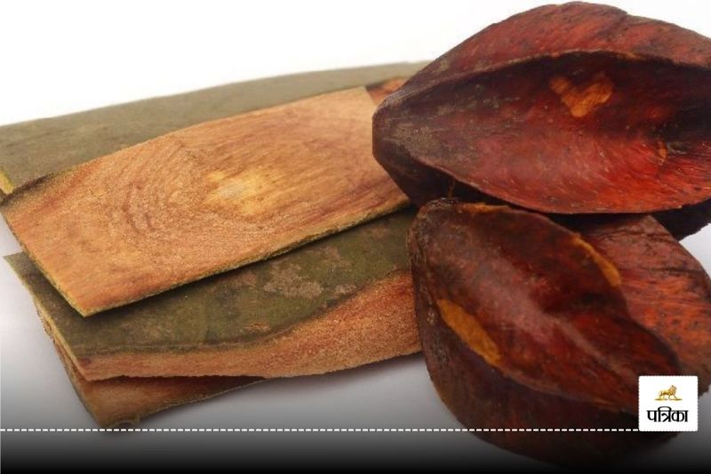 Control diabetes with Arjuna bark