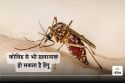 Study on Dengue: Dengue Fever Can Be More Dangerous Than Covid