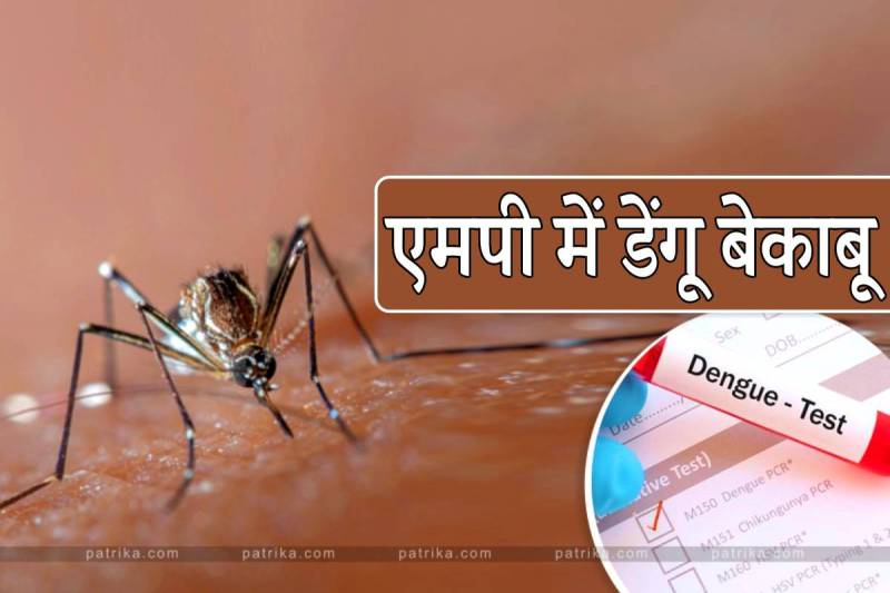 Dengue