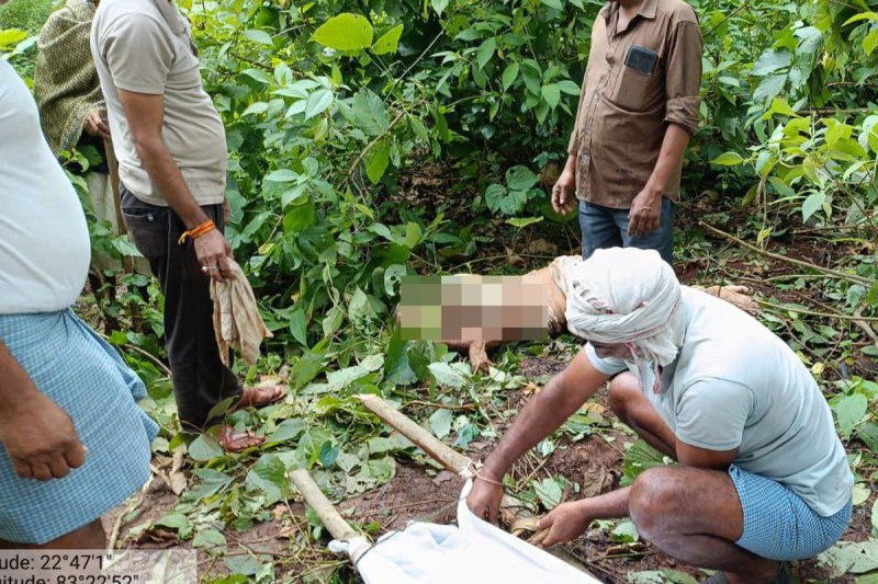 Elephants killed villager