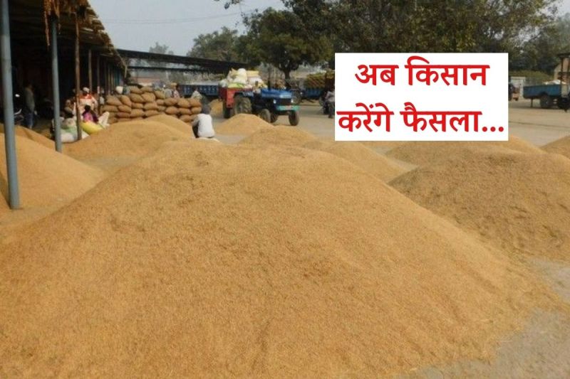 Rajasthan Hanumangarh Farmers Anxiety increases over MSP Strategy made Tomorrow BKU Announces this time Fight to Finish