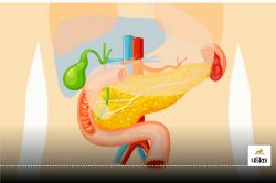 Boost Gut Health : गट ट्यूमर्स से बचने के लिए अपने आहार में मांस और दूध प्रोटीन
शामिल करें - image