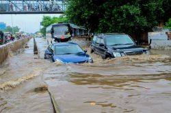 Heavy Rain: राजस्थान में मूसलाधार बारिश बनी आफत, अजमेर पानी से घिरा; जयपुर में
जलभराव ने किया घंटों परेशान - image