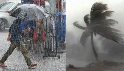 Rain alert:कई जिलों में बारिश से मचेगी आफत, मानसून फिर सक्रिय - image