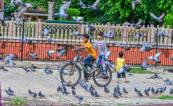 nice weather in jaipur