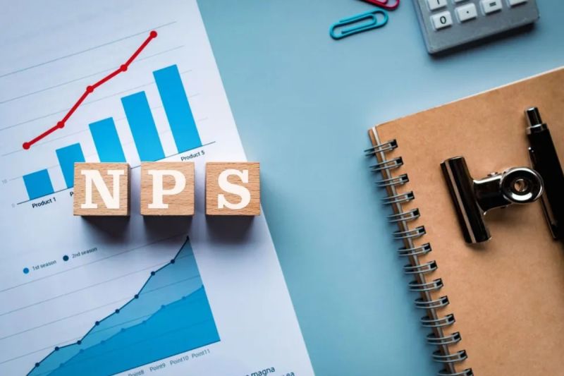 Investment in NPS