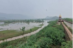 Jaisamand Dam : तेजी से सूख रहा है राजस्थान के इस जिले का सबसे बड़ा बांध, अब
इतना बचा पानी - image