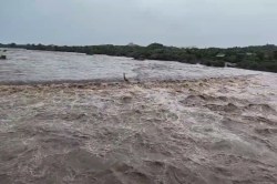 Jawai Dam: देर रात हुई मूसलाधार बारिश के बाद पश्चिमी राजस्थान के सबसे बड़े बांध
से आई बड़ी खबर - image