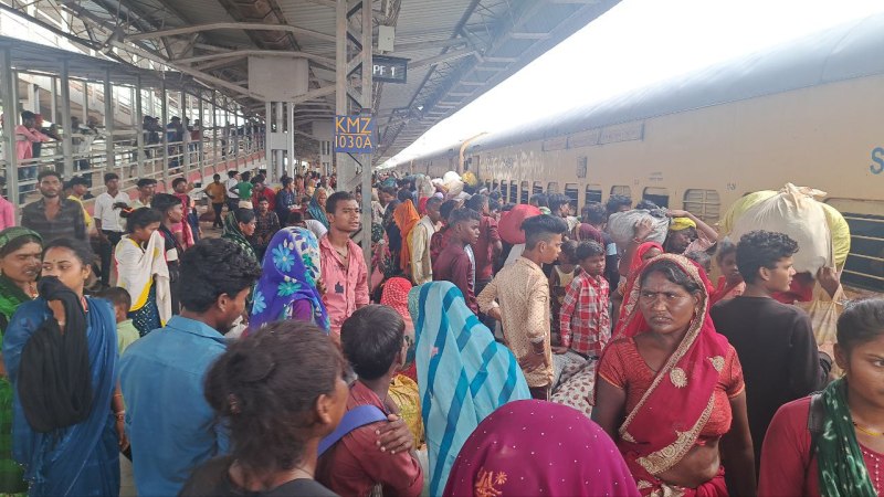 Thousands of people migrated to work as laborers