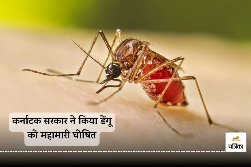 Karnataka Government