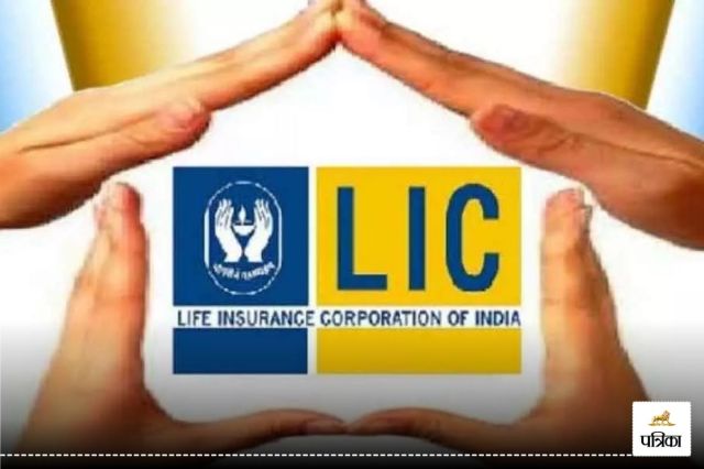 Life Insurance Corporation of India establishment journey 