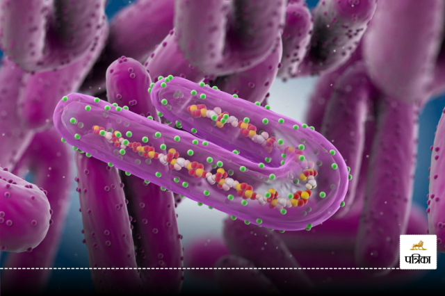 Marburg Virus Outbreak in Rwanda