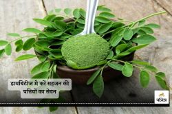 benefits of Moringa leaves : डायबिटीज से लेकर वजन नियंत्रण तक ऐसी 5 बीमारियों
में लाभदायक है सहजन की पत्तियों का सेवन - image