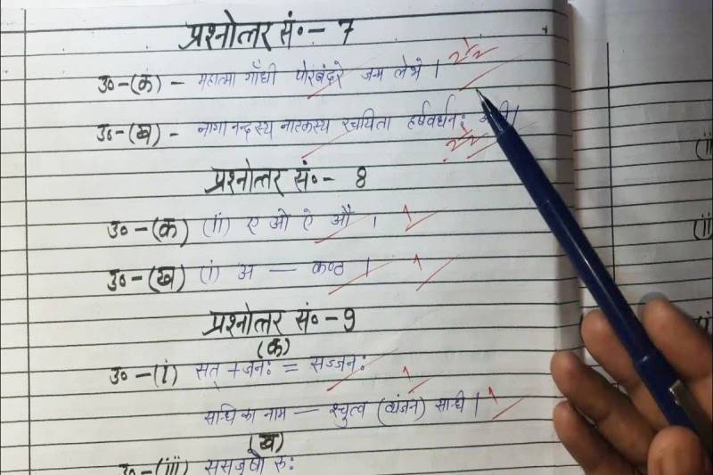 School education department