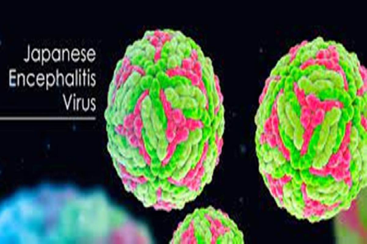 Japanese Encephalitis