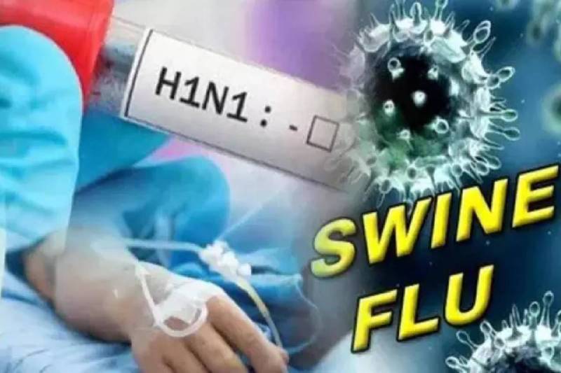 स्वाइन फ्लू से राहत! लक्षण वाले मरीजों की रिपोर्ट निगेटिव, डॉक्टर बोले- चिंता की बात नहीं...(photo-patrika)