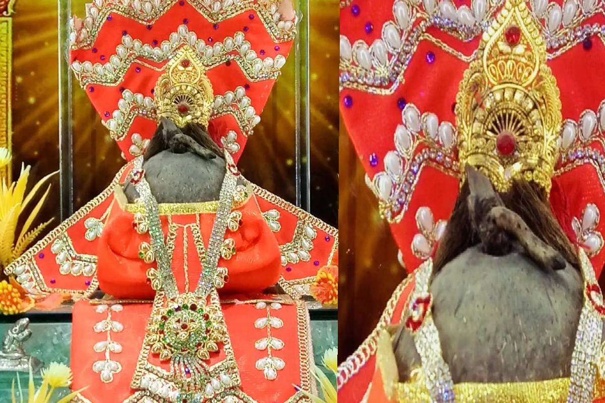 Ekakshi Shriphal Ganesh