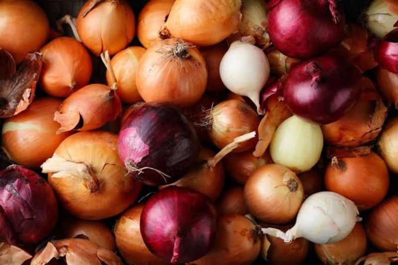Onion will be available at these places in Rajasthan at discounted rates