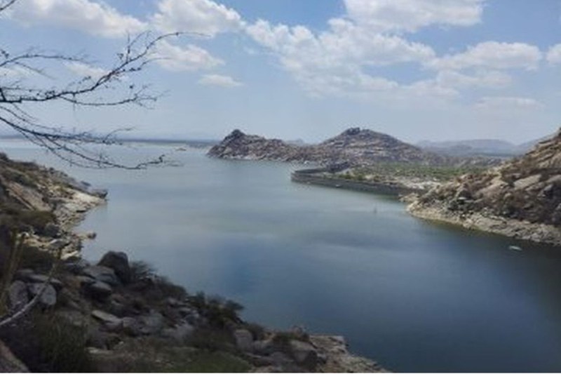 Pali Jawai dam