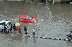 Rajasthan Weather: राजस्थान में यहां अगले 5 दिन मानसून रहेगा अधिक सक्रिय, IMD ने
किया अलर्ट - image