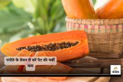 Reduce belly fat with papaya : इस तरीके से करें पपीते का सेवन, मोटी से मोटी
चर्बी भी बदल जाएगी 6 पैक्स में - image