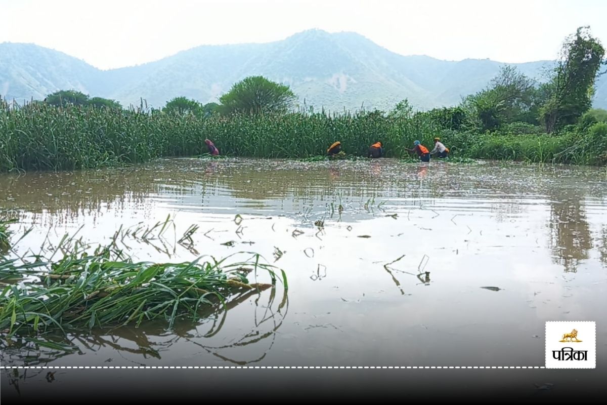 Rajasthan Monsoon: राजस्थान का एक और बांध छलकने को आतुर, बाणगंगा में 20 साल बाद
आया पानी