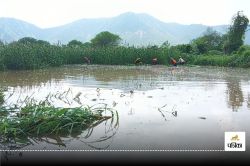 Rajasthan Monsoon: राजस्थान का एक और बांध छलकने को आतुर, बाणगंगा में 20 साल बाद
आया पानी - image