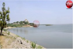 Rajasthan Dam: आखिरकार 30 साल बाद छलका राजस्थान का यह बांध, फिर भी किसानों में
नहीं छाई खुशियां, जानिए क्यों - image