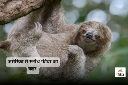 Sloth Fever