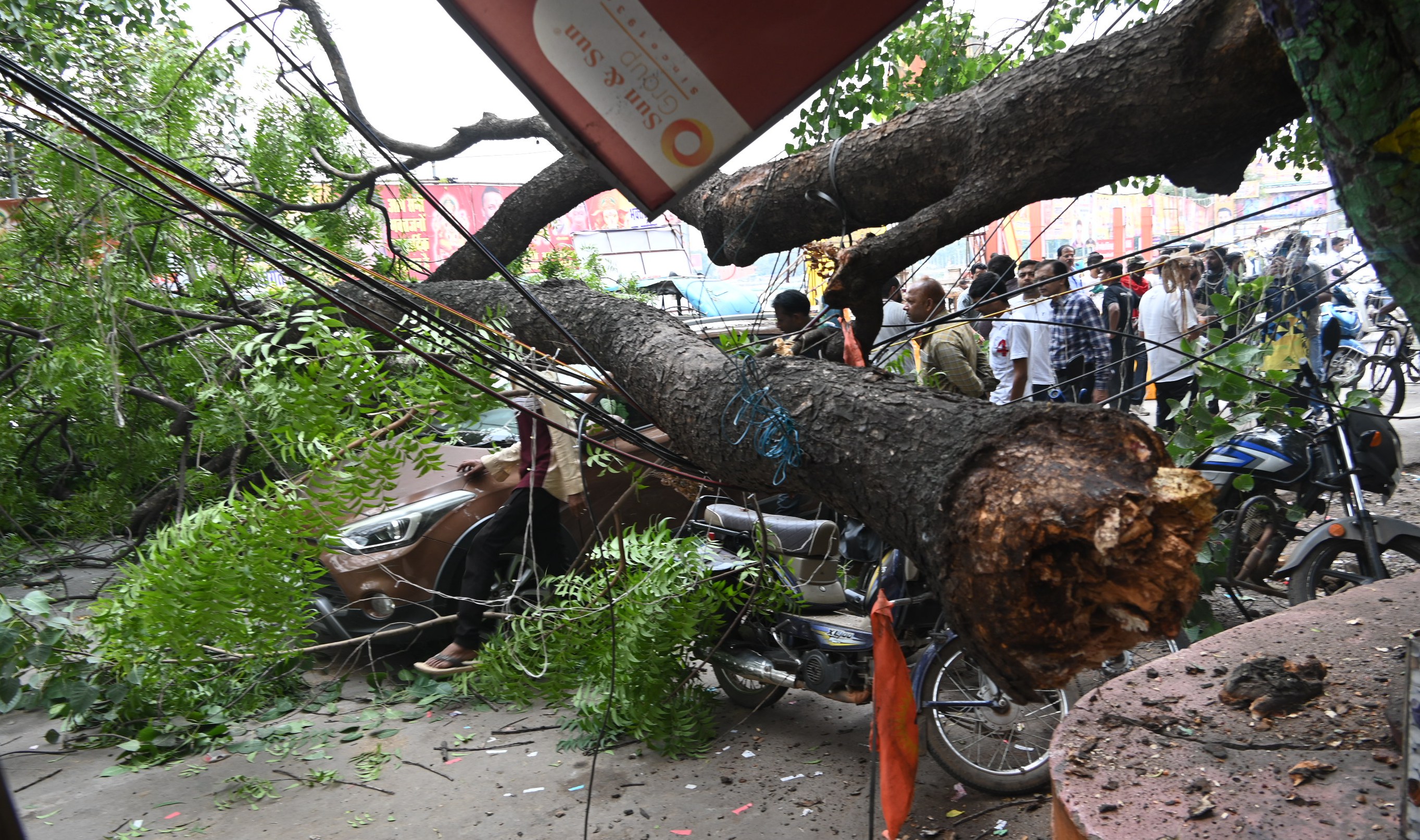 Raipur news : राजधानी के बूढापारा में गिरा पेड़ का तना, ई-रिक्सा चालक घायल, SEE
PICS