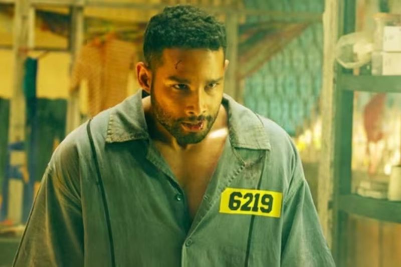 Yudhra Box Office Collection