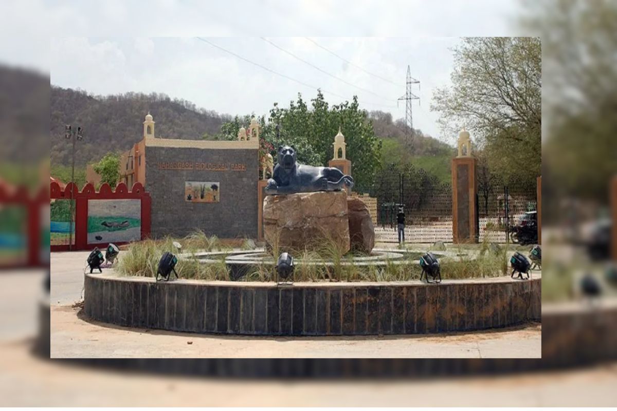 Nahargarh Biological Park