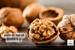 Walnut Benefits : अखरोट का सेवन रखेगा आपको इन 5 बीमारियों से दूर, जानिए क्या है
इसके खाने के फायदे - image