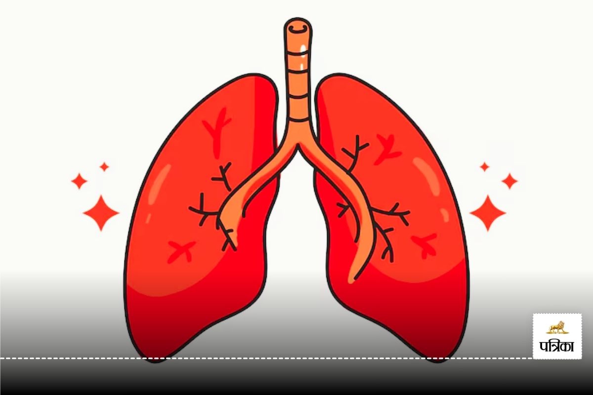 World Lung Day Why Non-Smokers Are Also at Risk for Respiratory Diseases