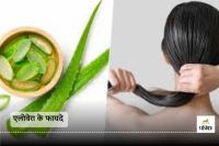 You can use Aloe Vera in the following ways to promote hair growth, reduce hair fall, and eliminate dandruff