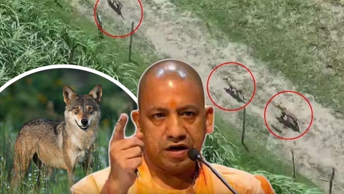 लंगड़े’ भेड़िये के दिन हुए पुरे, होगा Encounter ! CM Yogi का Order