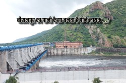 Bisalpur Dam: किस तकनीक से पीने लायक बनता है बीसलपुर का पानी? हर महीने 25 से 30
लाख आता है खर्च - image