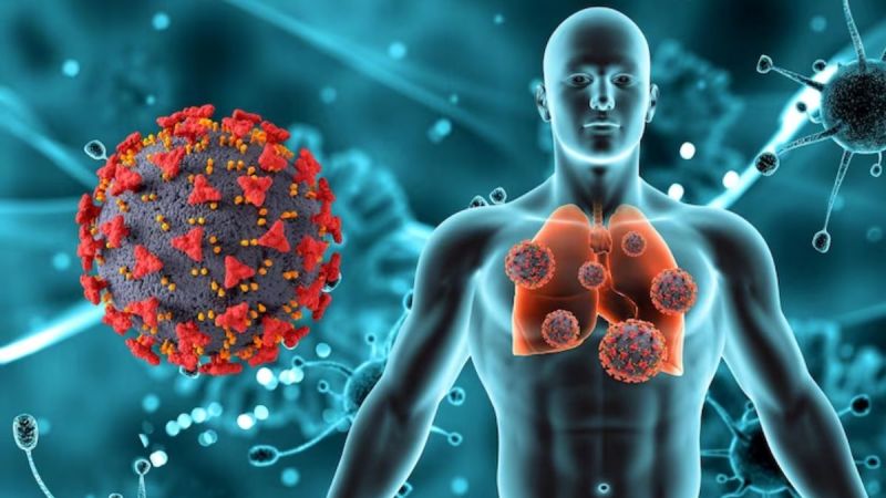 cancer survivor story