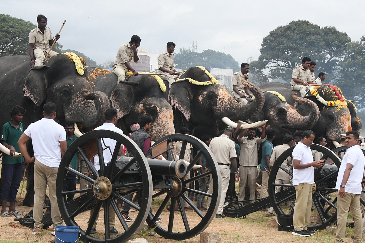 PHOTO मैसूरु दशहरा महोत्‍सव : जम्‍बो सवारी के हाथियों की उपस्थिति में तोपें दागी