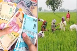 CG Farmers: भूमिहीन श्रमिकों के चौथी किस्त मिलने में देरी, सरकार नहीं कर पा रही
अपने वादे को पूरा.. - image