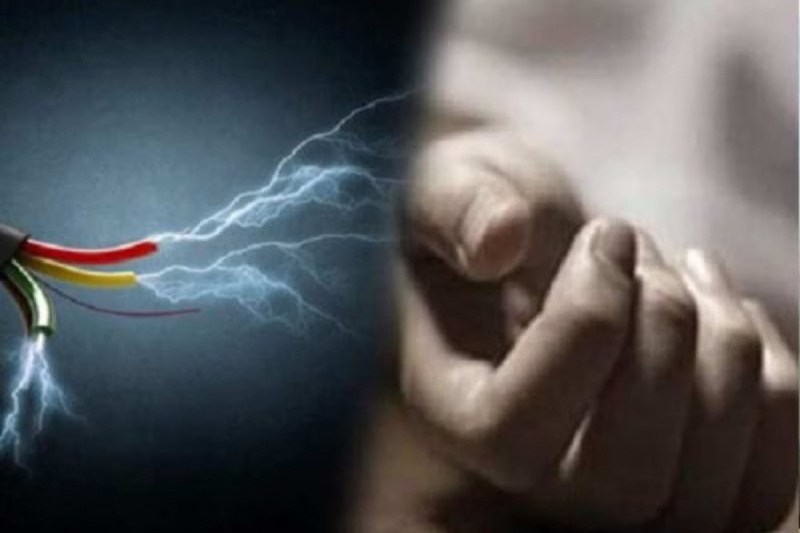 CG News: करंट हादसे में चाचा-भतीजे की मौत, पिता गंभीर रूप से घायल...(photo-patrika)