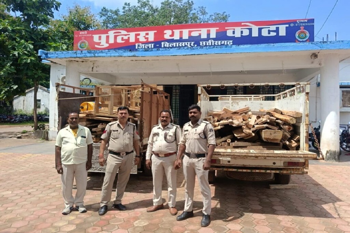 cg timber news