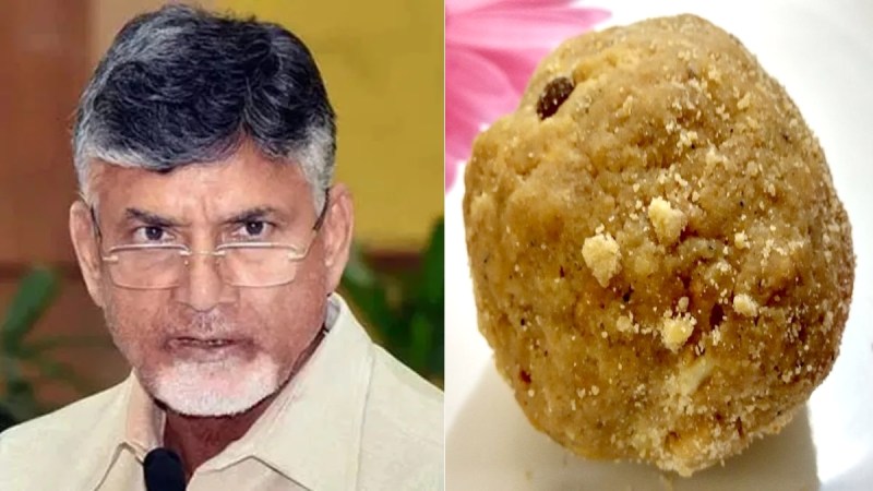 chandrababu-laddu