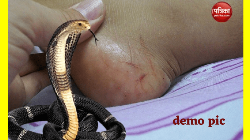 Cobra entered Garib Rath Express going from Jabalpur to Mumbai