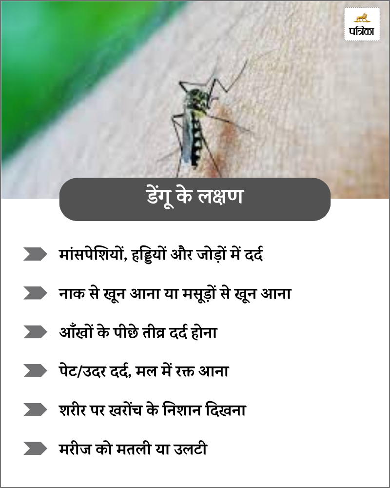 dengue symptoms