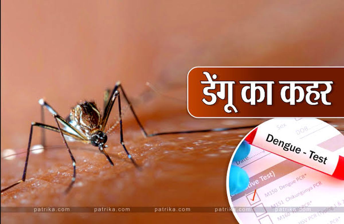 Dengue breaks all records: number of patients exceeds 25 thousand