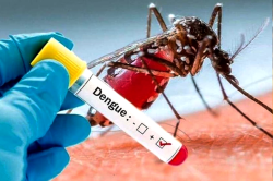 Dengue Fever: सीकर में हड्डी तोड़ बुखार का कहर, बुखार से पीड़ित हर तीसरा शख्स
डेंगू पॉजिटिव - image