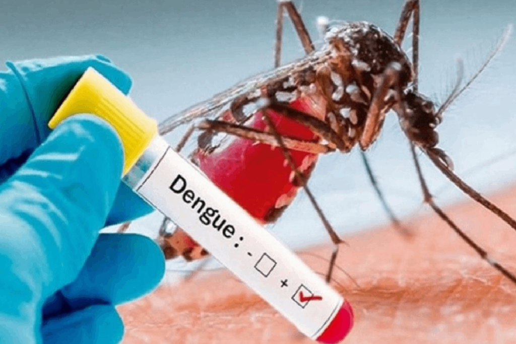 dengue